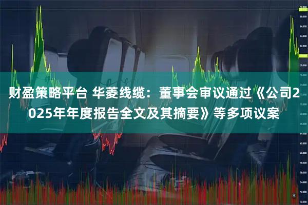 财盈策略平台 华菱线缆：董事会审议通过《公司2025年年度报告全文及其摘要》等多项议案