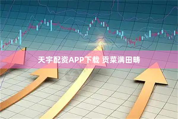 天宇配资APP下载 贡菜满田畴