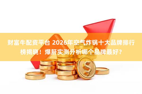 财富牛配资平台 2026年空气炸锅十大品牌排行榜揭晓！爆肝实测分析哪个品牌最好？