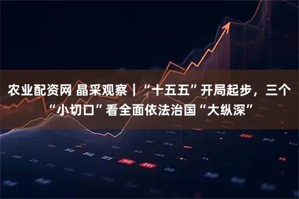 农业配资网 晶采观察｜“十五五”开局起步，三个“小切口”看全面依法治国“大纵深”